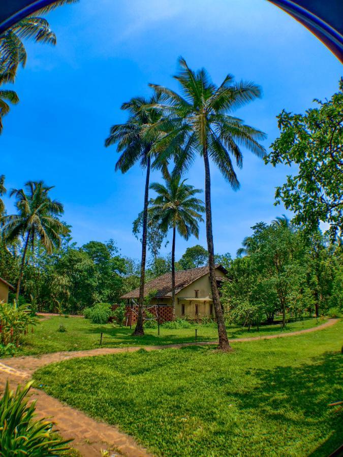 The Orchard Resort Belagavi Zewnętrze zdjęcie
