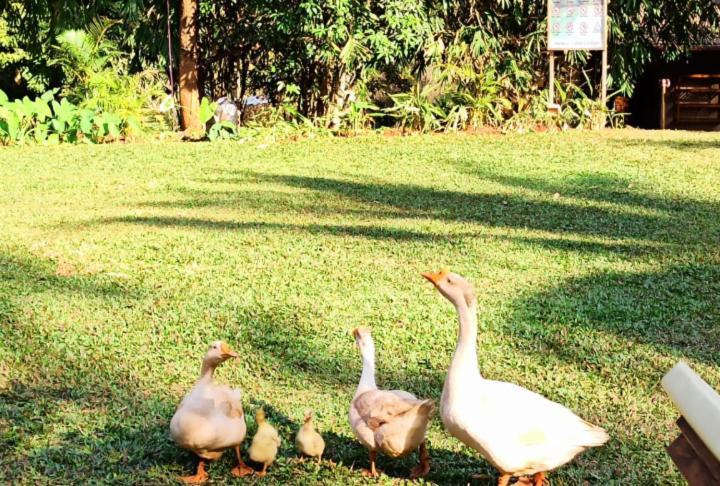 The Orchard Resort Belagavi Zewnętrze zdjęcie